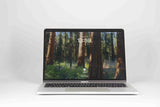 Apple MacBook Pro (A1989) 13,3" - i5 8259U - 16Go - 256Go