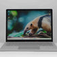 Microsoft Surface Laptop 4 13,5" Tactile - Ryzen 5 - 16Go - 256Go